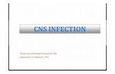 Suwannna setthawatcharawanich MDSuwannna ...medinfo2.psu.ac.th/internalmed/med58/sheet/2558/p4/CNS_infection.pdf · Urgent LP ปลอดภัยไหม ... orchitis, eschar,