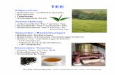 Teesorten / Bezeichnungen Besondere Teeartenalt.wzw.tum.de/fileadmin/Dokumente/Zucker_2013/02a-Tee.pdf · • Trennung der einzelnen Blattgrößen mit me-chanischen Siebvorrichtungen