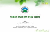 TAMAN NASIONAL MERU BETIRI - forda-mof.org · antara lain: Kemukus (Piper cubeba), Kedawung (Parkia roxburghii), Pakem (Pangium edule), Joho Lawe (Terminalia ballerica), Cabe Jawa