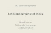 Echocardiographie et chocs - echowebline.com · Choc cardiogénique: étiologies • Baisse de contractilité myocardique: –Infarctus phase aigue, myocardite, tako-tsubo –Iatrogène