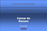 Cancer du Rectum FR - Santé Publique | service …organesdeconcertation.sante.belgique.be/sites/default/files/... · Comité de dévelopment de la directive de cancer du rectum ...