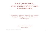 Enquête réalisée auprès des élèves du lycée …m2navarre.net/IMG/pdf/rapport_enquete2.pdf · dangers d’internet: violations de la vie privée, virus, piratages, téléchargements