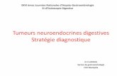 Tumeurs neuroendocrines digestives - Accueil :: …sahgeed.com/upload/files/26CN2014/pleniere/1-vendredi/session1/5... · avant et pendant la collecte urinaire de 24 heures : ...