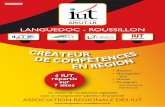 Languedoc - RoussiLLon · La formation en entreprise sous forme de stage est de 10 ... et à une soutenance orale devant jury stage en entreprise obligatoire d’au minimum 14 semaines,
