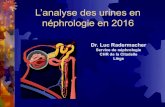L’analyse des urines en néphrologie en 2016 · 4° Physiopathologie rénale : IRC, IRA, lithiases, troubles électrolytiques, goutte, oedèmes, HTA, ... soit des agglomérats protéiques