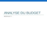 ANALYSE DU BUDGET - cnscmali.org · nomenclature budgétaire et comptable des collectivités territoriales. ... Principe de l’universalité budgétaire ... Principe de la spécialité