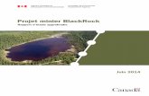 Projet minier BlackRock - Canada.ca · Rapport d’étude approfondie : Projet minier BlackRock VII 7.8 Effets environnementaux cumulatifs ... Annexe 8 – Plan et cours d’eau à