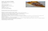 tarte au sucre belge - data0.eklablog.comdata0.eklablog.com/oce01/perso/gateaux d-europe.pdf · pour garnir les « blinis » (les crêpes russes) , les « pirojkis « ( les petits