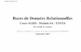 Bases de Données Relationnelles - [Cedric] · PDF fileVertigo/CNAM, Paris 1 Bases de Données Relationnelles Cours SGBD -Module 6A -ENSTA M. Scholl, B. Amann