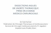 Intérêt de la fusion d’image dissection aortique - …resuval.free.fr/Printemps/2017/10_Dissection.pdf · Dissection aortique de type B ... abdominale –Remodelage aortique par
