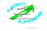Dr Philippe Vigouroux - ApnéeCDY78cdy78.apnee.free.fr/PhysiopathDoc2010.pdf · iv ± anatomie et physiologie de l’oreille 1 / anatomie de l’oreille ... ii - physiologie respiratoire