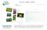 BULLETIN DE SANTE DU VEGETAL M artinique N° 60 … · tige principale. La croissance et le ... Utiliser du matériel végétal sain (vitro-plants, méthode PIF : plants issus de