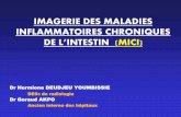 Imagerie des MICI - Accueilguidekt.net/TRANSFERTS/UCAD/DIGESTIF 2015/MALADIES INFLAMMA… · Modalités d’exploration: Endoscopie, Radiographie conventionnelle, Echographie, TDM