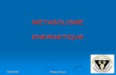 METABOLISME ENERGETIQUE - topmath.free.frtopmath.free.fr/Livres/biochimie/BIOCHIMOE_S4... · METABOLISME ENERGETIQUE. 03/01/2009 Philippe Bouvet 2 Processus de la chaine métabolique: