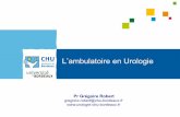 Lambulatoire en Urologie - urologie-chu-bordeaux.frurologie-chu-bordeaux.fr/wp-content/uploads/2014/04/Robert.pdf · L’ambulatoire en Urologie ! Quelles interventions ? ! Quelques