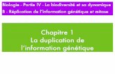 Chapitre 1 La duplication de l’information génétiqueekladata.com/bcpst1rostand.eklablog.fr/perso/Genetique/Diapo... · La duplication de l’information génétique Partie IA