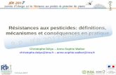 Résistances aux pesticides: définitions, mécanismes et ... · Les PPP ne fabriquent pas les résistants, ... Cible biochimique sur laquelle agit le PPP pour tuer le ... Notion