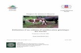 Conseil Général de Mayotte - dphu.org · SAGA Station d’Amélioration Génétique des Animaux (INRA, Toulouse) SAU Surface Agricole Utile SNP Single Nucleotide Polymorphism .