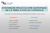 DYNAMIQUE MOLECULAIRE QUANTIQUE: DE LA SIMULATION …cermics.enpc.fr/~stoltz/aci0205/atabek.pdf · DYNAMIQUE MOLECULAIRE QUANTIQUE: DE LA SIMULATION AU CONTRÔLE Laboratoire de Photophysique