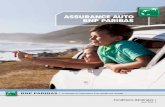 assurance Auto Assurance Bnp Paribas ... - …€¦ · assurance auto BnP PariBas • communication à caractère commercial 5 des services offerts dans votre contrat Le Service de