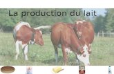 PowerPoint Presentationyoupstory.free.fr/ftp/rapports/prodani/production de lait.ppt · PPT file · Web viewLa production du lait Les principales race de vaches laitières Les autres