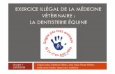 Exercice illégal de la médecine vétérinaire : la ... · «Constitue l'exercice illégal de l'art médical, l'accomplissement habituel par une personne ne réunissant ... Génétique
