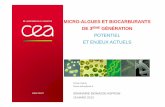MICRO-ALGUES ET BIOCARBURANTS DE 3 IÈME … · Utilisation des micro-algues comme organismes fermenteurs Compétition avec les levures (plutôt meilleures pour le moment) Utilisation