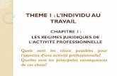 THEME 1 : L'INDIVIDU AU TRAVAIL - 12droiteco.free.fr12droiteco.free.fr/.../uploads/...DE-LACTIVITE-PROFESSIONNELLE2.pdf · L’ACTIVITE PROFESSIONNELLE ... L’accès à une activité