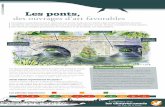 OS FCE Les ponts, des ouvrages d’art favorablespetitemontagnedujura-n2000.fr/wp-content/uploads/2013/06/Chauves... · des ouvrages d’art favorables ... favoriser ces espèces