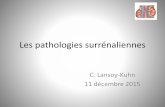Les pathologies surrénaliennes - amiformamiform.pagesperso-orange.fr/_media/pathologies-surrenaliennes.pdf · Les pathologies surrénaliennes C. Lansoy-Kuhn ... Composé S, DOC):