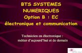 BTS SYSTEMES NUMERIQUES Option B : EC …stssesb.free.fr/sembat/sts%20%E9lectronique%20pr%E9sentation%2… · • Instrumentation virtuelle : Labview • Réalisation de cartes à