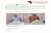 PROJET D’APPUI A LA STRUCTURATION ... - laboress-afrique…laboress-afrique.org/IMG/pdf/rapport_interimaire-raess_synthese... · L’ECONOMIE SOCIALE ET SOLIDAIRE ... Développement