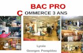 BAC PRO C OMMERCE 3 ANS - lycee-pompidou-34.net · Une formation qui allie enseignement général et professionnel Bac Pro Commerce Enseignement Technologique et professionnel 34