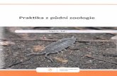 Praktika z půdní zoologie - ekologie.upol.czekologie.upol.cz/ad/tuf/pdf/papers/Tuf2013-Praktika.pdf · respektive zoologie, provádět. Experimenty jsou řazeny přibližně dle