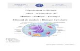 Module : Biologie – Géologie Elément de module ...bio-fsa.uiz.ac.ma/etudiant/images/ressources/cours_td/cours_sv1... · Les sphingophospholipides sont des phospholipides membranaires