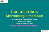 Microbiologie médicale - …s830b6eb230174267.jimcontent.com/download/version/1290458616/... · Cours IFSI 2010 S1 Pr G. Arlet. Les microbes. Microbiologie médicale. Professeur