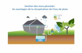 Gestion des eaux pluviales les avantages de la récupération de l’eau de ...aeseq.com/doc/Gestion-des-eaux-pluviales-les-avantages-de-la... · en compte la gestion de l’eau de