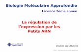 La régulation de l’expression par les Petits ARNrna.igmors.u-psud.fr/gautheret/cours/l3-bma-1.pdf · l’expression par les Petits ARN Daniel Gautheret ... • Tous les eucaryotes