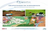 GÉOPHYSIQUE DE SUBSURFACE - Prestations … · 2/6 TOPO D’OC – Chemin d’Enrobert – 32200 GIMONT - FRANCE +33 (0)5.62.65.67.65 – +33 (0)5.62.65.68.65 – contact@topodoc.com