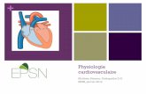 Physiologie cardiovasculaire - files7.webydo.comfiles7.webydo.com/90/9059847/UploadedFiles/57F33F2... · Anatomie du médiastin + Anatomie du cœur n Le cœur se trouve dans la partie