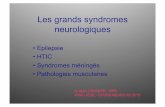 Les grands syndromes neurologiques · ⇒ Souffrance cérébrale diffuse ... • Maladie neuromusculaire chronique • Défaut de transmission entre le nerf et le • muscle. ( mus,