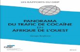 Panorama du trafic de cocaïne - GRIParchive.grip.org/fr/siteweb/images/RAPPORTS/2012/Rapport 2012-6.pdf · du trafic de cocaïne en Afrique de l’Ouest, nous examinerons les évolutions