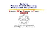 Türkiye Kronik Böbrek Hastalığı Prevalansı … Böbrek Hastalığı •Sık görülen, • Renal ve KV morbiditesi ve mortalitesi yüksek olan, •Farkındalığı ve erken tanısı