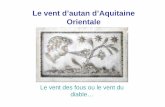 Le vent d’autan d’Aquitaine Orientale · • Le vent d’autan est une continuité du « marin » Méditerranéen (Altanus) • Le marin, d’origine sud à est devient l’autan