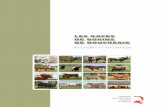Les races de bovins de boucherie - bovin.qc.cabovin.qc.ca/wp-content/uploads/2016/03/Les-races-de-bovins-de... · Les races de bovins de boucherie sont à la base de la production
