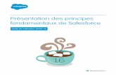 Présentation des principes fondamentaux de Salesforce · Présentation des principes fondamentaux de Salesforce Bienvenue aux utilisateurs de Salesforce Éditions Disponible avec