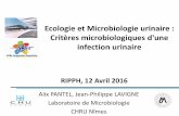 Ecologie et Microbiologie urinaire - cpias-nouvelle … · de l’arre urinaire: lithiase, tumeur, reflux – ID ... manifestations cliniques