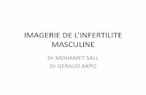 IMAGERIE DE L’INFERTILITE MASCULINE - guidekt.netguidekt.net/TRANSFERTS/UCAD/URO 2015/INFERTILITE MASCULINE.pdf · Spermogramme + examen clinique: 1ère étape Imagerie rôle accessoire.