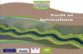 Forêt et Sylviculture - ENVIROSCOP, bureau d'études … · 2013-07-29 · 2.1 -ÉTAT DES LIEUX ... une analyse des enjeux régionaux relatifs à la ... (PPRDF, 2012). Cette ...