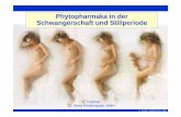 Phytopharmaka in der Schwangerschaft ... - phytotherapie… · Phytotherapie in der Schwangerschaft I Antihydrotikum Salbei (Salvia officinalis, Fol. Salviae) im ätherischen Öl